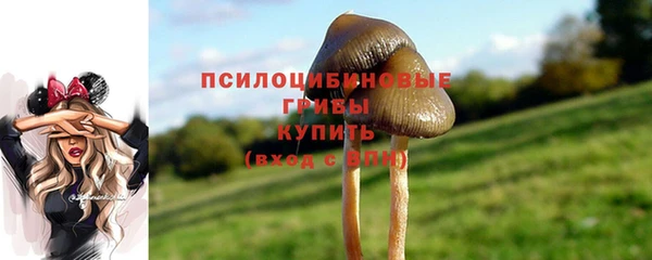 стафф Алексин