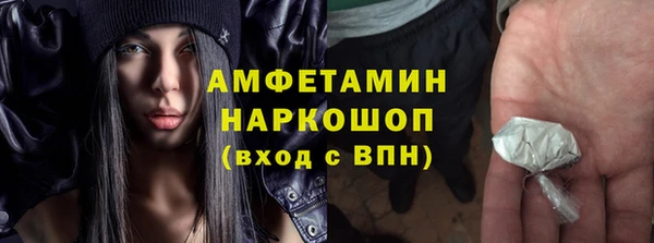 стафф Алексин